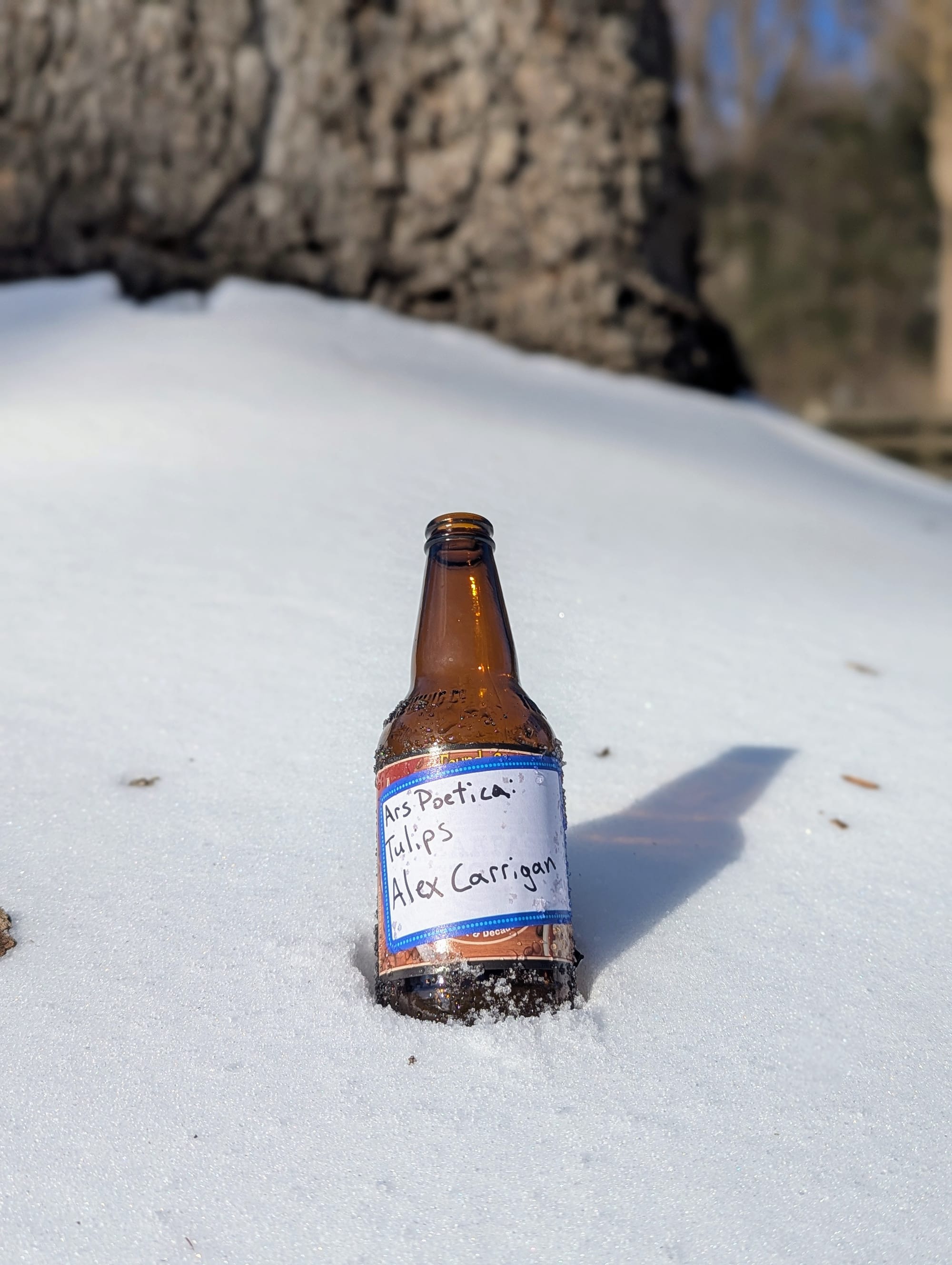 Alex Carrigan- Poetry